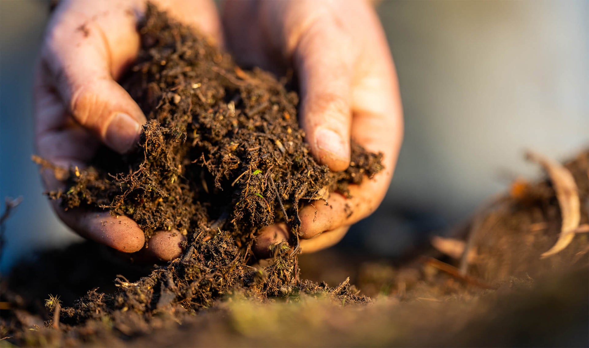Regenerative Farming: Why Europe’s Landmark Study Says It’s the Future of Agriculture